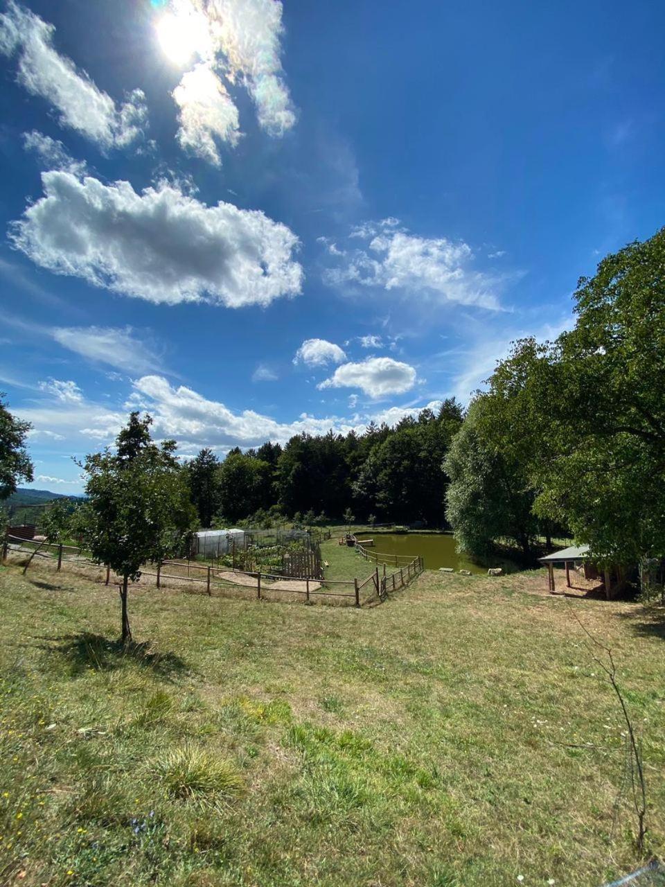 Agriturismo Vezzano Chiusi della Verna Buitenkant foto