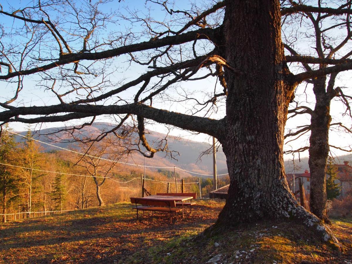 Agriturismo Vezzano Chiusi della Verna Buitenkant foto