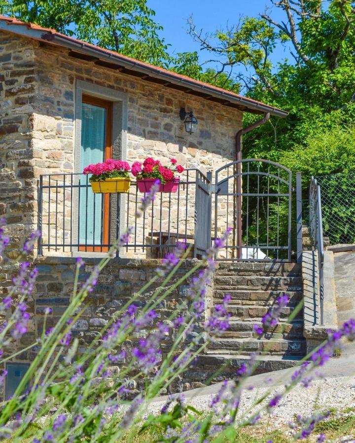 Agriturismo Vezzano Chiusi della Verna Buitenkant foto