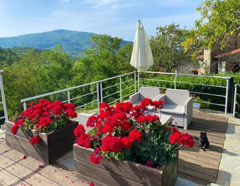 Agriturismo Vezzano Chiusi della Verna Buitenkant foto