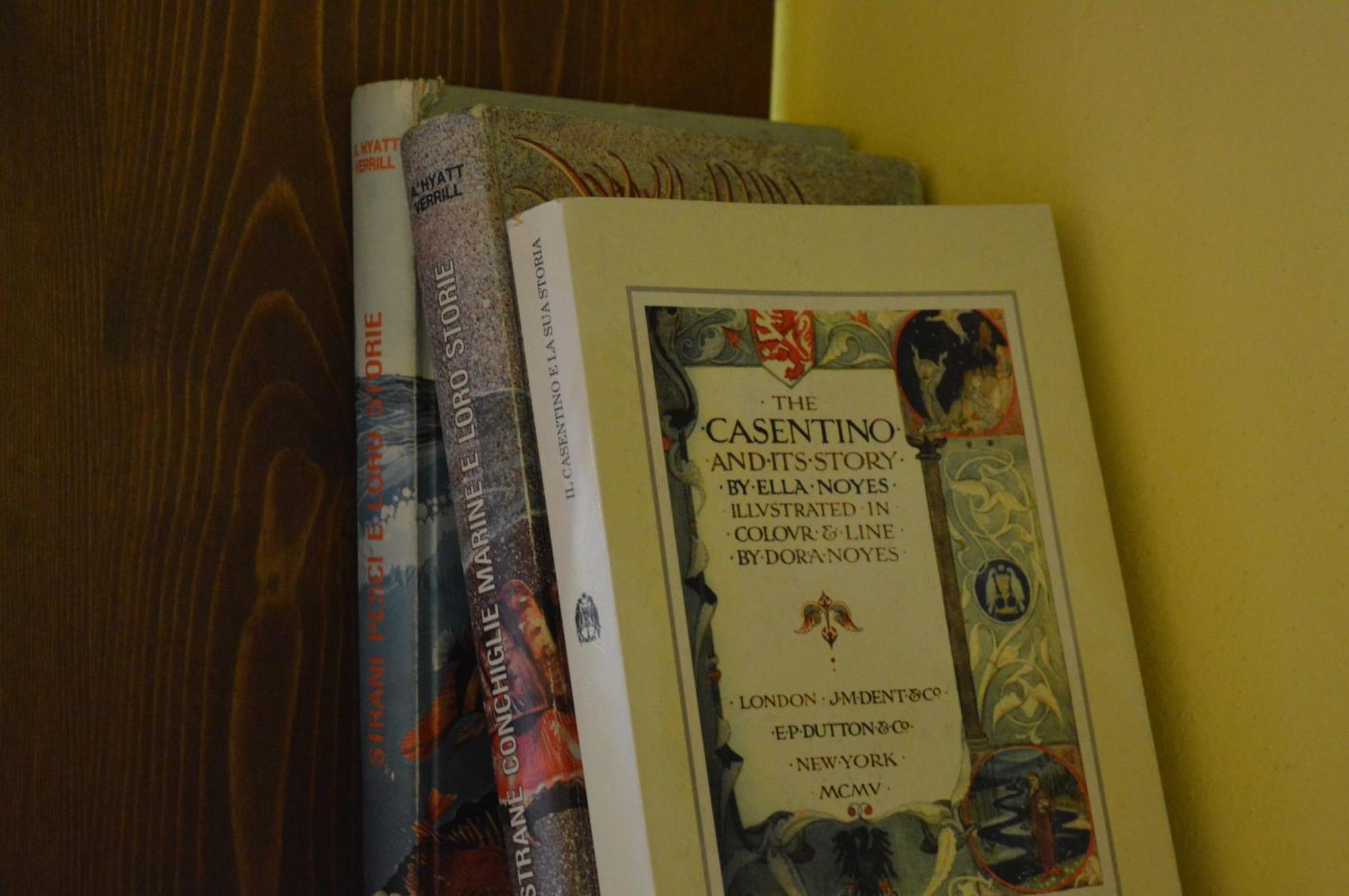 Agriturismo Vezzano Chiusi della Verna Kamer foto